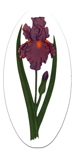 G5000 Corner Purple Lily